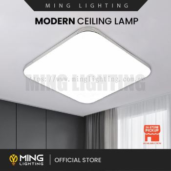 Modern Surface Ceiling Light 14717