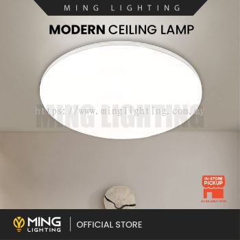 Modern Surface Ceiling Light 14718