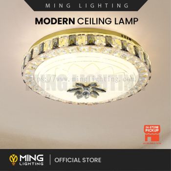 Modern Surface Ceiling Light 14750