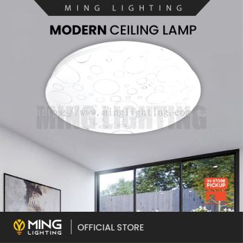 Modern Surface Ceiling Light 15068