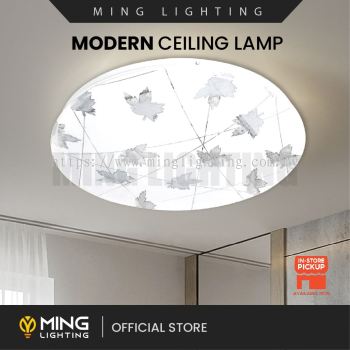 Modern Surface Ceiling Light 15069