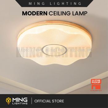 Modern Surface Ceiling Light 15435