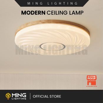 Modern Surface Ceiling Light 15436