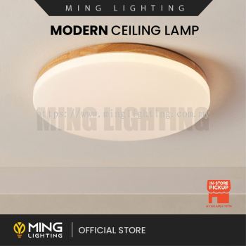 Modern Surface Ceiling Light 15437