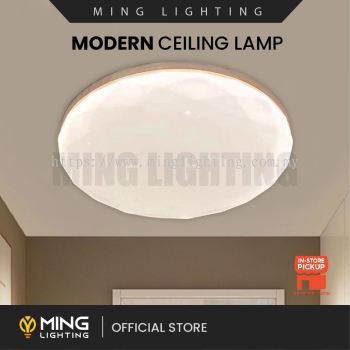 Modern Surface Ceiling Light 15438