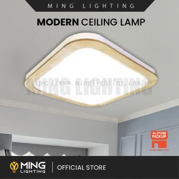 Modern Surface Ceiling Light 15439