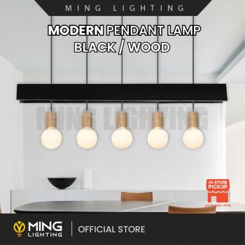 Modern Pendant Lamp 13629