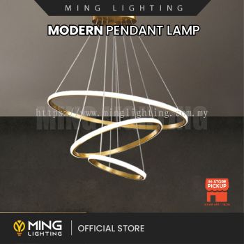 Modern Pendant Lamp 13687