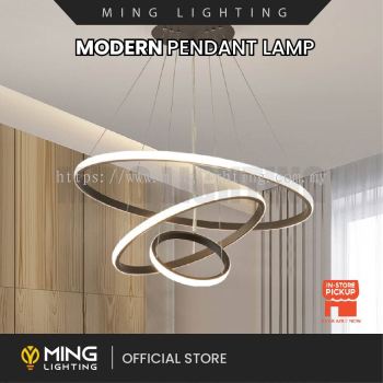 Modern Pendant Lamp 13688