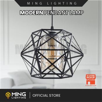 Modern Pendant Lamp 13831