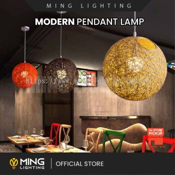 Modern Pendant Lamp 13849