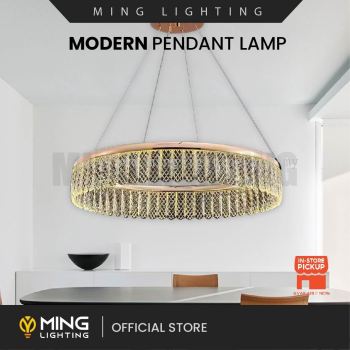Modern Pendant Lamp 15008