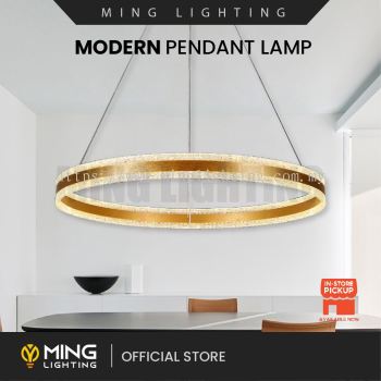 Modern Pendant Lamp 15231