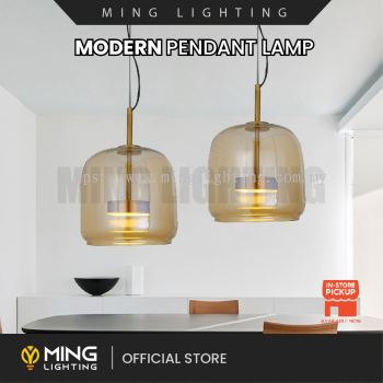 Modern Pendant Lamp 15313