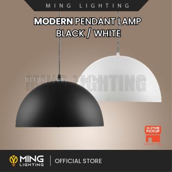 Modern Pendant Lamp 9103