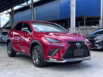 2020 Lexus NX300 F-Sport Red Colour 