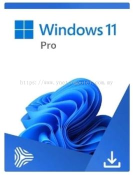 Microsoft Window 11 Pro 64bit (OEM)