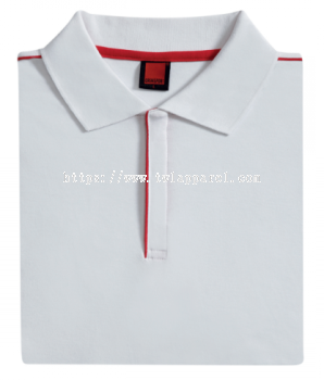 CI06 Cotton Interlock