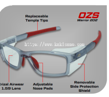 OZS Warrior 102 Safety Glass Protection 