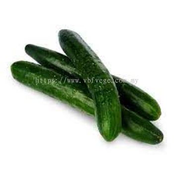 Cucumber Jepun