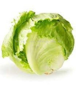 Iceberg Lettuce