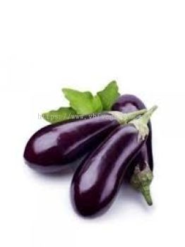 Pearl Brinjal (Mini)