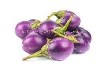 Round Brinjal Small