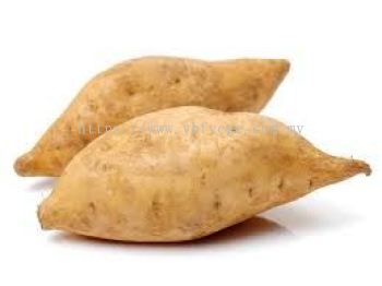 White Sweet Potato