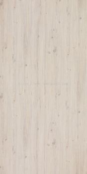 LW8-3283 ROME OAK