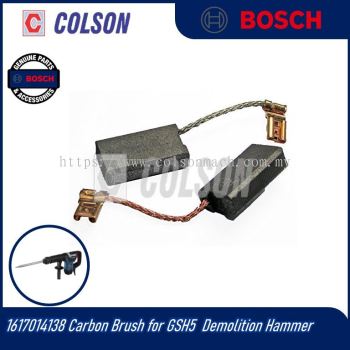BOSCH 1617014138 Carbon Brush for GSH388X GSH500 GSH5 GSH5X GBH5-38D GBH5-40D