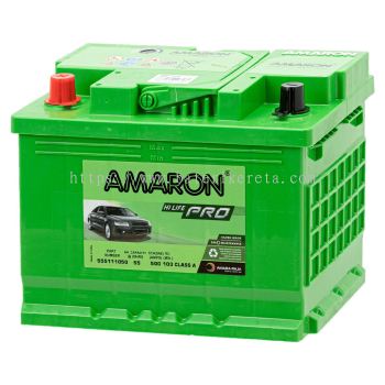 AMARON PRO - DIN55L