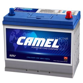 CAMEL MF - NS60R (50B24R)