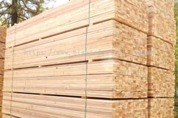 douglas_fir_2x4_21-scaled-1-600x400