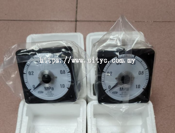 Pressure gauge Meter