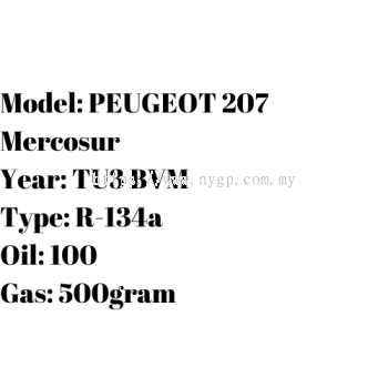 PEUGEOT 207 Mercosur