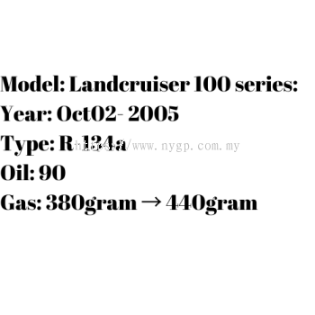 Landcruiser 100 series (2)