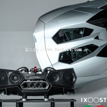 IXOOST ESAVOX CARBON FIBRE DOCKING STATION SPEAKER