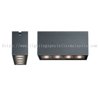 MiNIER LAZER-T5 15/30/45D 10W-40W SURFACE DOWNLIGHT