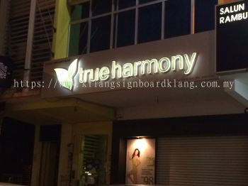 *True Harmony* LED Conceal Box Up Lettering 