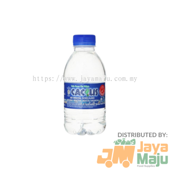 MNT AIR MINERAL CACTUS 250ML