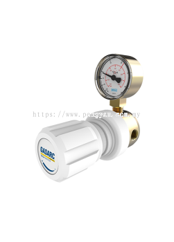  TECH MASTER GPL400 SERIES 4.5 Purity Single Stage Brass Barstock Diaphragm Line Regulator