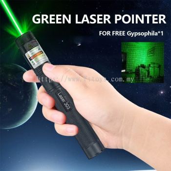 303 Powerful Laser Pointer Pen Green Light Long Range High Beam With 18650 Rechargeable Battery