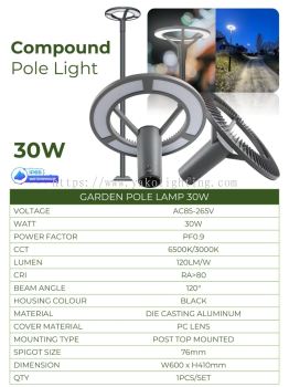 COMPOUND GARDEN LIGHT 30W (6500/3000K)