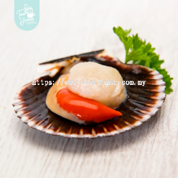 CB Sealine Half Shell Scallop 5-7cm (1kg)