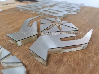 acrylic laser cut out 3d logo with stainless steel silver hairline face signage