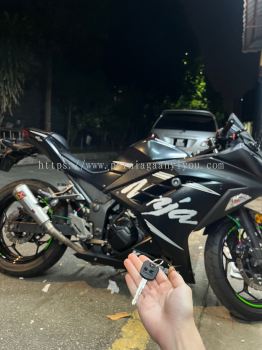 Kawasaki Ninja 250