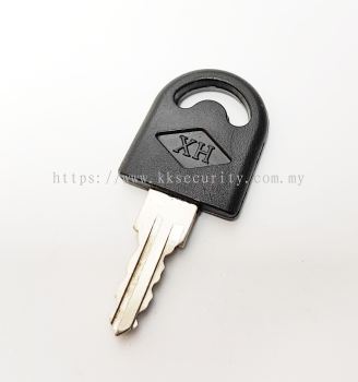 Autogate Motor Key for TH 001 / Gmatic Pro / DC Gate 