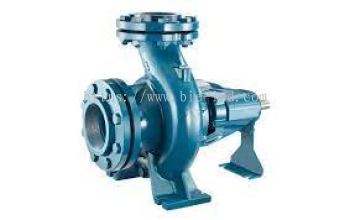 BOSTT Din Standard End Suction Pump