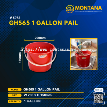 (5972) GH565 1 GALLON PAIL