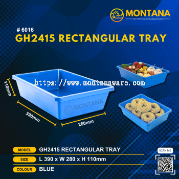 (6016) GH2415 RECTANGULAR TRAY